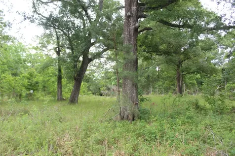 19 County Road 641 Kenefick TX 77535