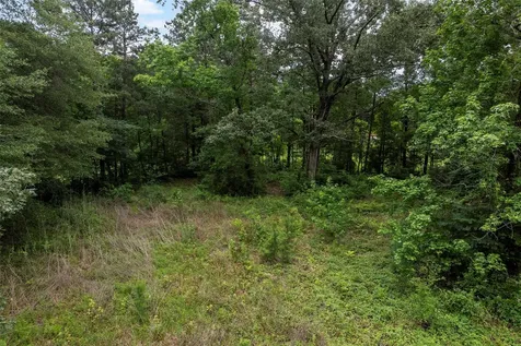 207 Blue Lake Drive Huffman TX 77336