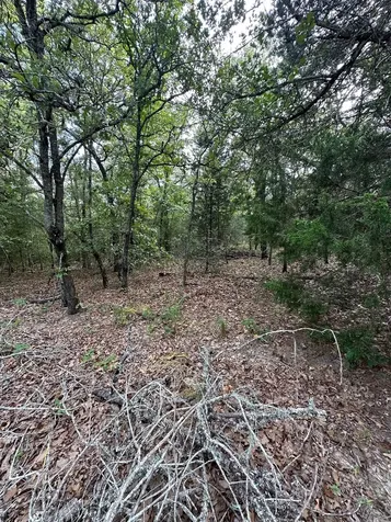145 Private Road 6070 Cameron TX 76520