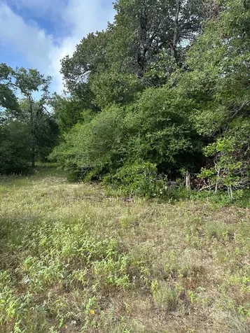 145 Private Road 6070 Cameron TX 76520
