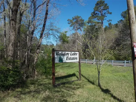 400 Driftwood Drive Goodrich TX 77335