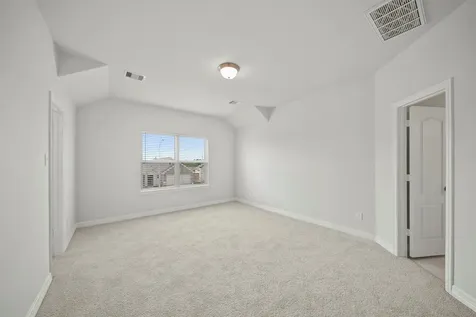 21290 Catalina Palm Drive Cypress TX 77433
