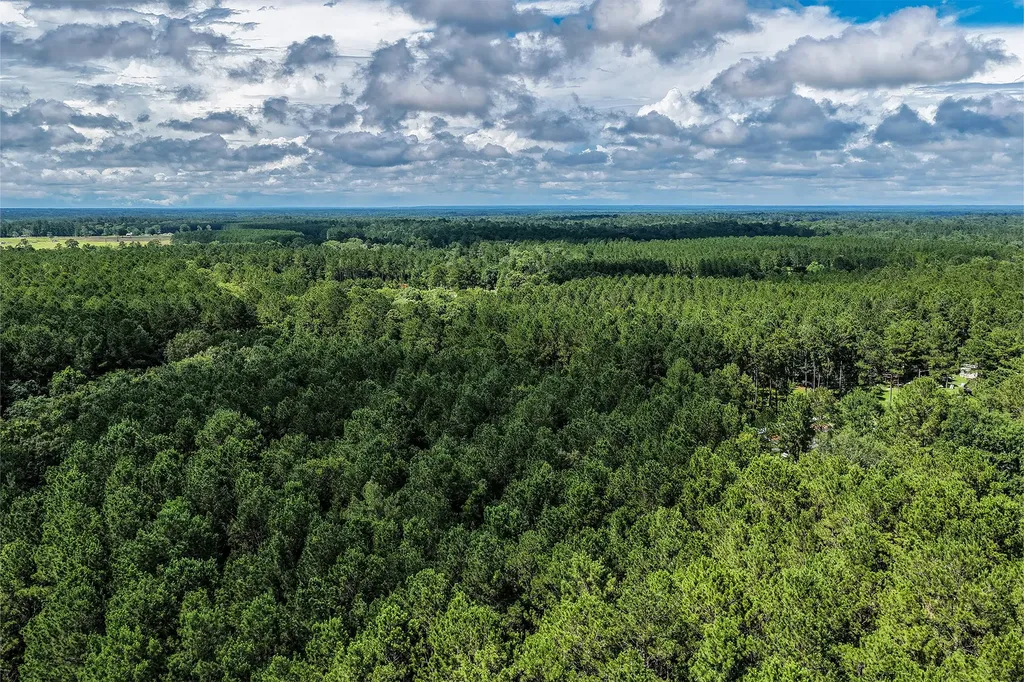 1782 Acres County Line Road Shepherd TX 77371