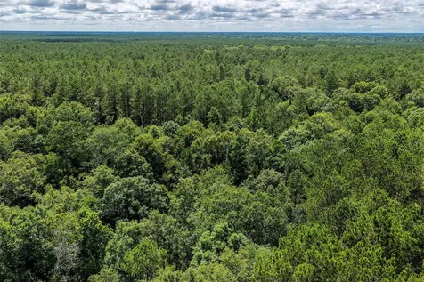 1782 Acres County Line Road Shepherd TX 77371