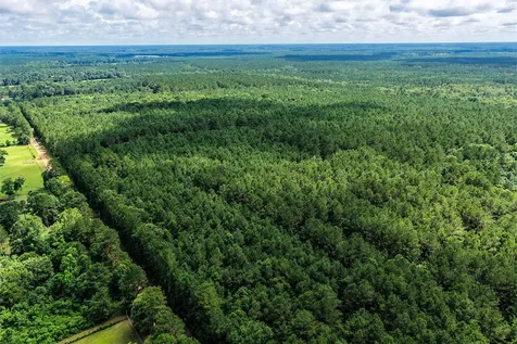 1782 Acres County Line Road Shepherd TX 77371