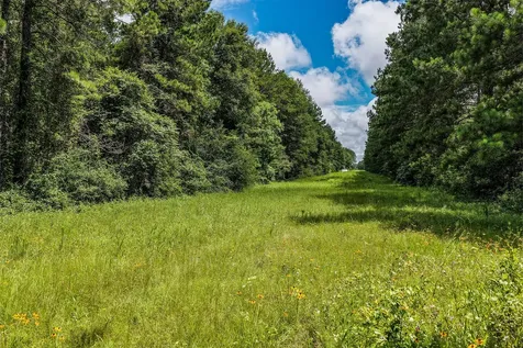 1782 Acres County Line Road Shepherd TX 77371