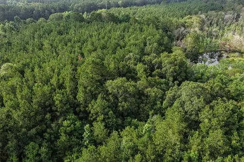 1782 Acres County Line Road Shepherd TX 77371
