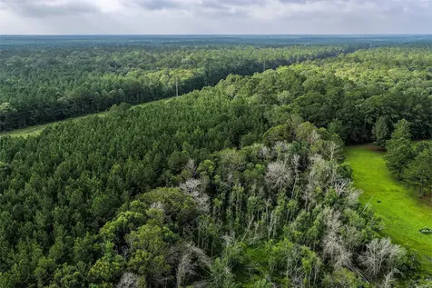1782 Acres County Line Road Shepherd TX 77371