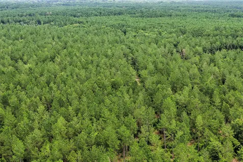 1782 Acres County Line Road Shepherd TX 77371