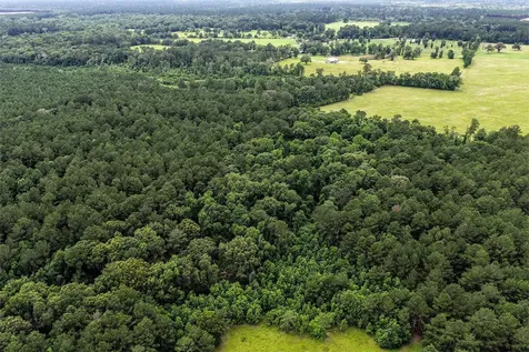 1782 Acres County Line Road Shepherd TX 77371