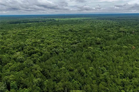 1782 Acres County Line Road Shepherd TX 77371
