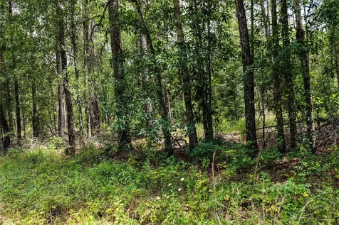 1782 Acres County Line Road Shepherd TX 77371