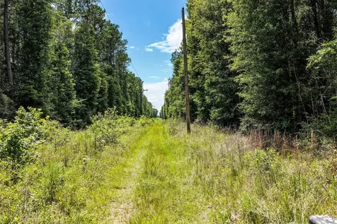 1782 Acres County Line Road Shepherd TX 77371