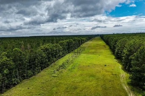 1782 Acres County Line Road Shepherd TX 77371