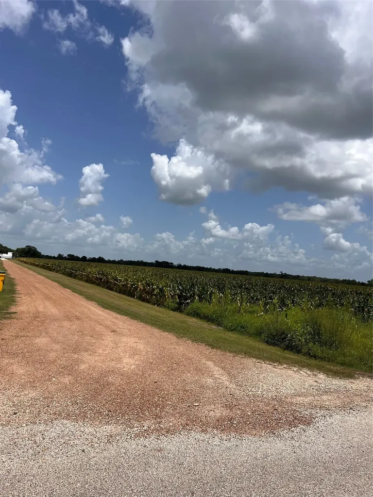Lot 1 Tract 2 Svoboda Road Wallis TX 77485