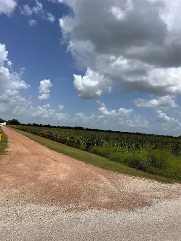 Lot 1 Tract 2 Svoboda Road Wallis TX 77485