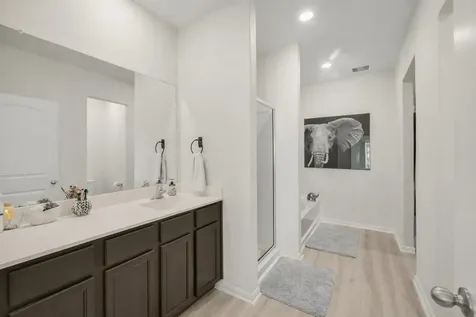 25418 Glacier Lake Drive Cleveland TX 77328