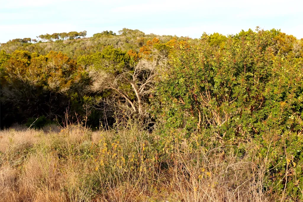 000 Private Road 1748 Road Mico TX 78056