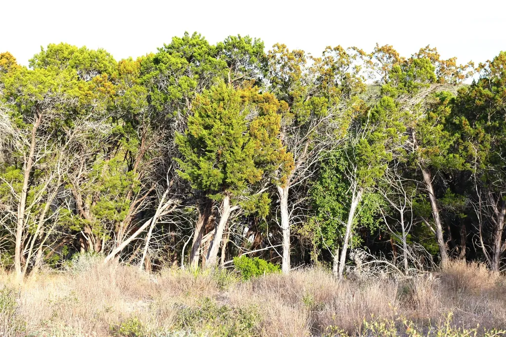 000 Private Road 1748 Road Mico TX 78056