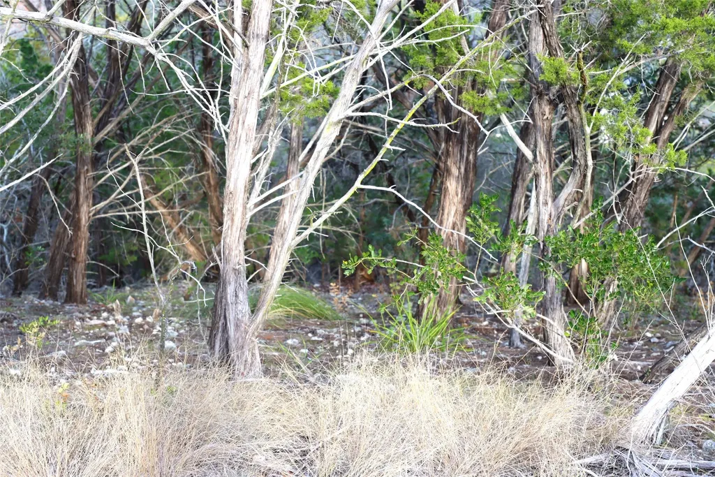000 Private Road 1748 Road Mico TX 78056
