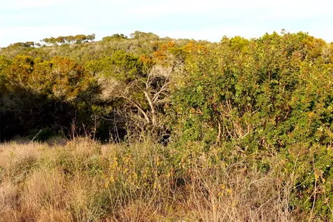 000 Private Road 1748 Road Mico TX 78056