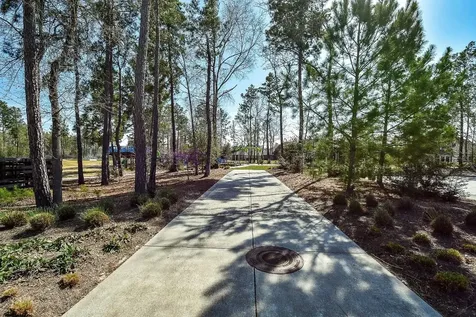 17463 Vino Vines Lane Conroe TX 77302