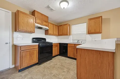 3006 Palace Oaks Drive Houston TX 77082