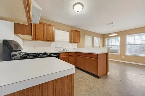3006 Palace Oaks Drive Houston TX 77082