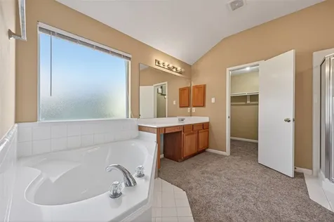 3006 Palace Oaks Drive Houston TX 77082
