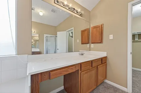3006 Palace Oaks Drive Houston TX 77082