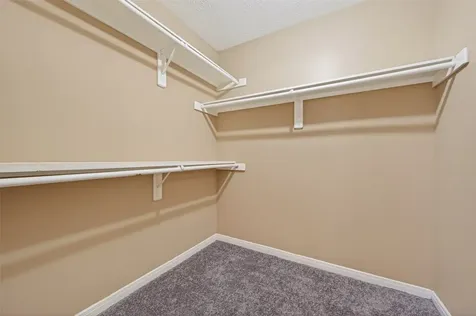 3006 Palace Oaks Drive Houston TX 77082