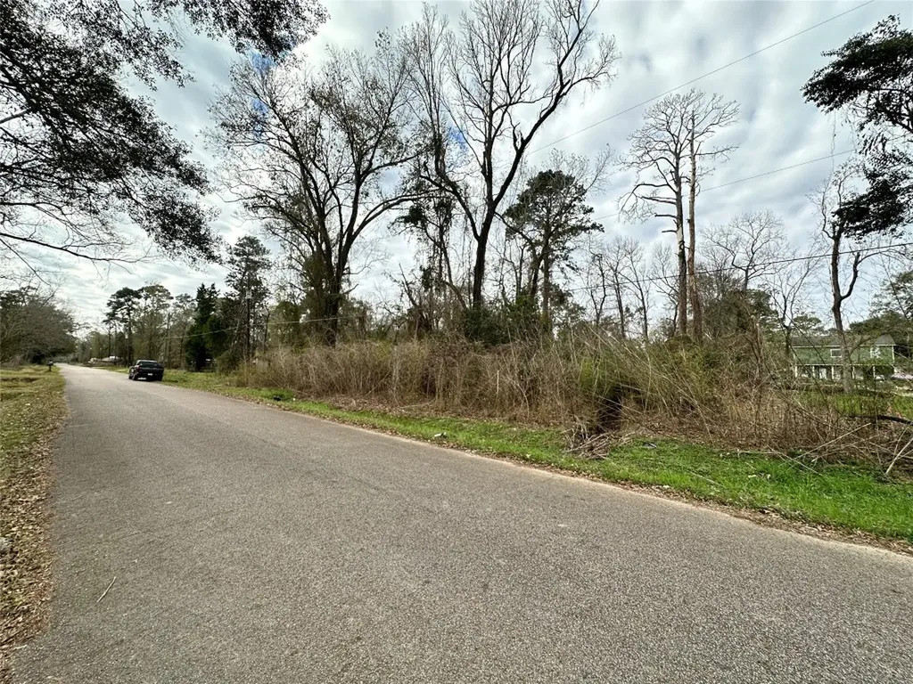Lots 6 & 7 Idle Glen Roadway New Caney TX 77357