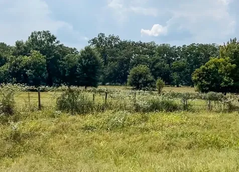 0327 Fm 2548 Midway TX 75852