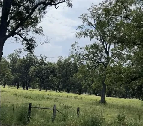 0327 Fm 2548 Midway TX 75852