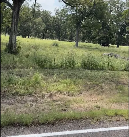 0327 Fm 2548 Midway TX 75852