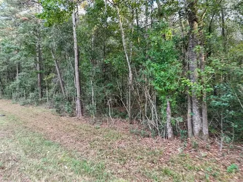 0000 Tbd Fm 1725 Cleveland TX 77328