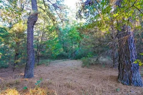 5 Acres Fcr 930 Teague TX 75860