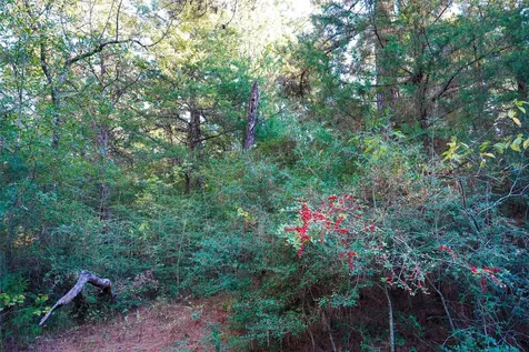 5 Acres Fcr 930 Teague TX 75860