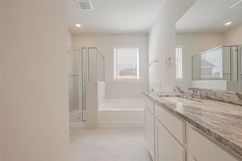 2923 Copper Falls Drive Iowa Colony TX 77583
