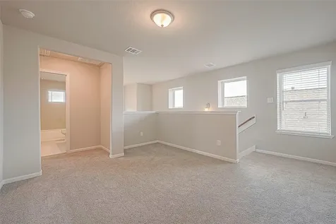 2923 Copper Falls Drive Iowa Colony TX 77583