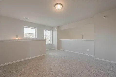 2923 Copper Falls Drive Iowa Colony TX 77583