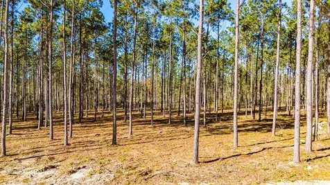 Lot 13 Big Buck Drive Moscow TX 75960