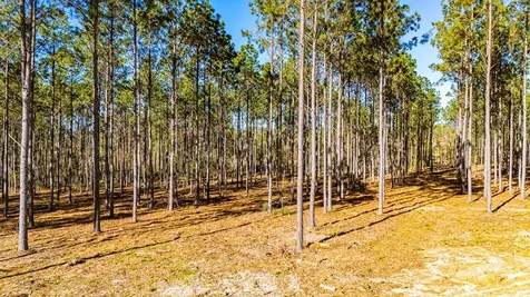 Lot 13 Big Buck Drive Moscow TX 75960