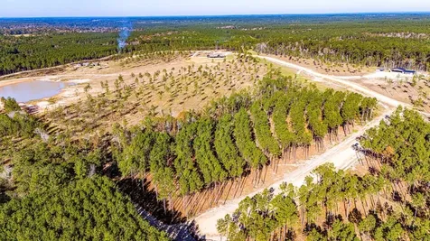 Lot 13 Big Buck Drive Moscow TX 75960