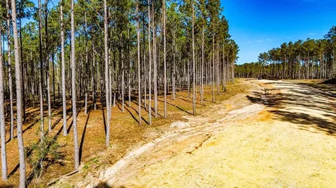 Lot 13 Big Buck Drive Moscow TX 75960