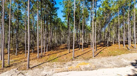 Lot 13 Big Buck Drive Moscow TX 75960
