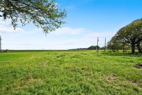 108 Country Oaks Street Brazoria TX 77422