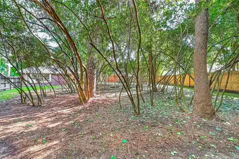 87 N Auburn Path Circle Drive The Woodlands TX 77382