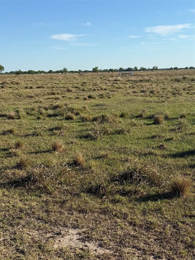17136 Brumbelow Road Needville TX 77461
