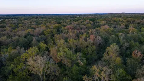 T-6 Providence Road Calvert TX 77837